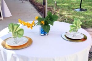 A table set with plates and napkins, flowers in a vase.